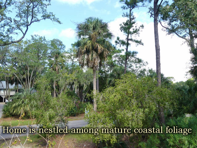 80 Gun Bluff Road Edisto Island, SC 29438 - Photo 42 of 65 38