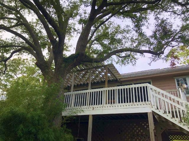 80 Gun Bluff Road Edisto Island, SC 29438 - Photo 45 of 65 40
