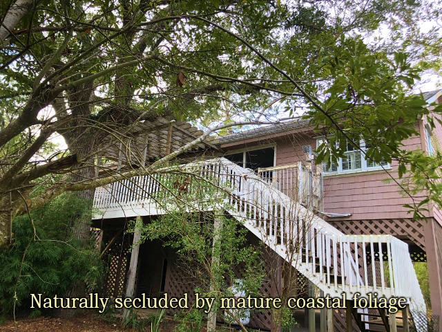 80 Gun Bluff Road Edisto Island, SC 29438 - Photo 49 of 65 44