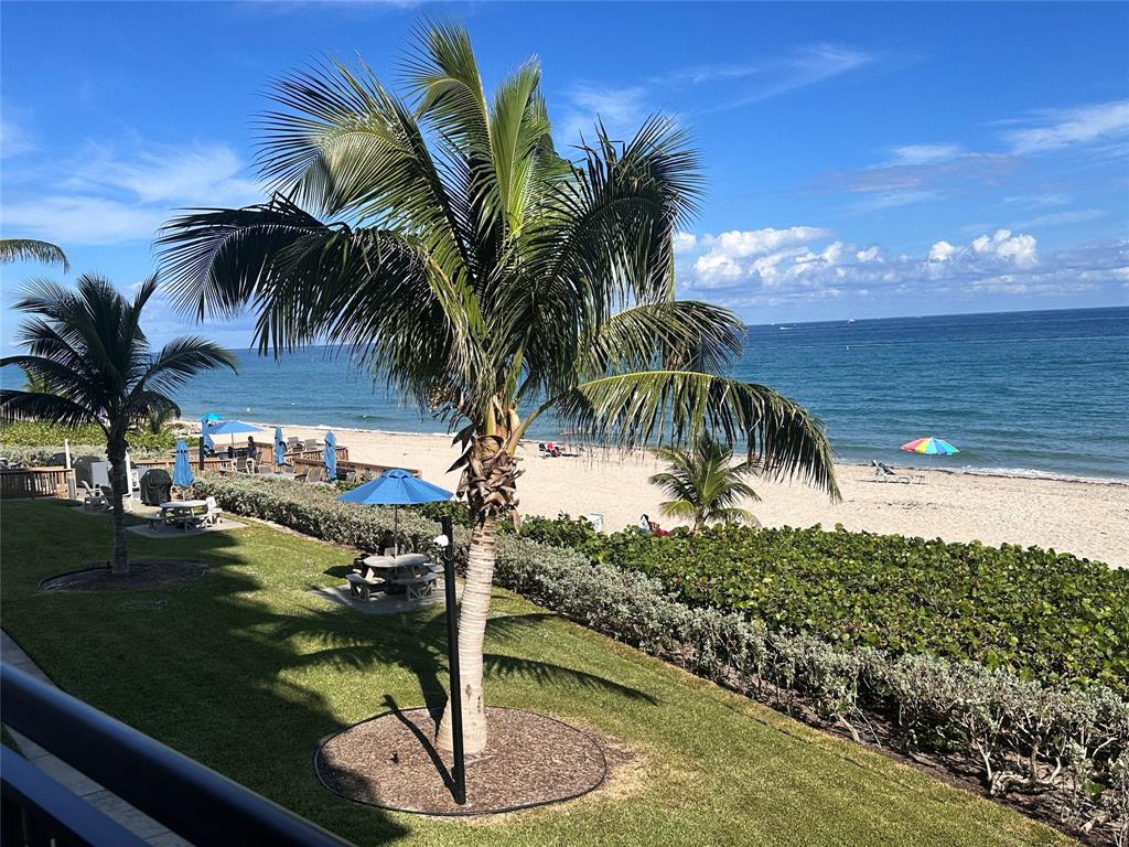 1147 Hillsboro Mile, Unit 214 Hillsboro Beach, FL 33062 - Photo 18 of 43 a view of a backyard