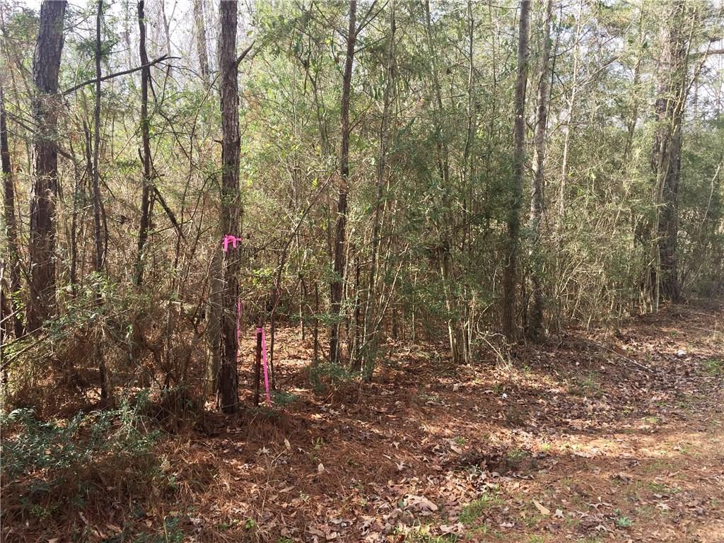 0 Byron Dillon Road Franklinton, LA 70438 - Photo 15 of 16 Gallery Image 15