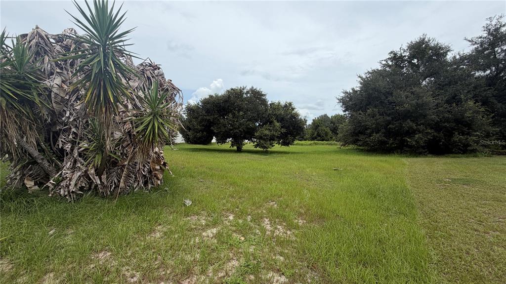 11719 Oswalt Road Clermont, FL 34711 - Photo 23 of 25 Gallery Image 23