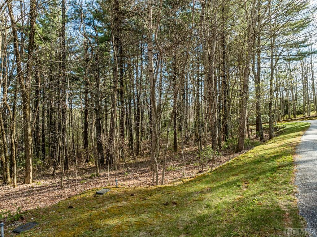 Lot 1 Center Ridge Road Sylva, NC 28779 - Photo 7 of 17 Gallery Image 7