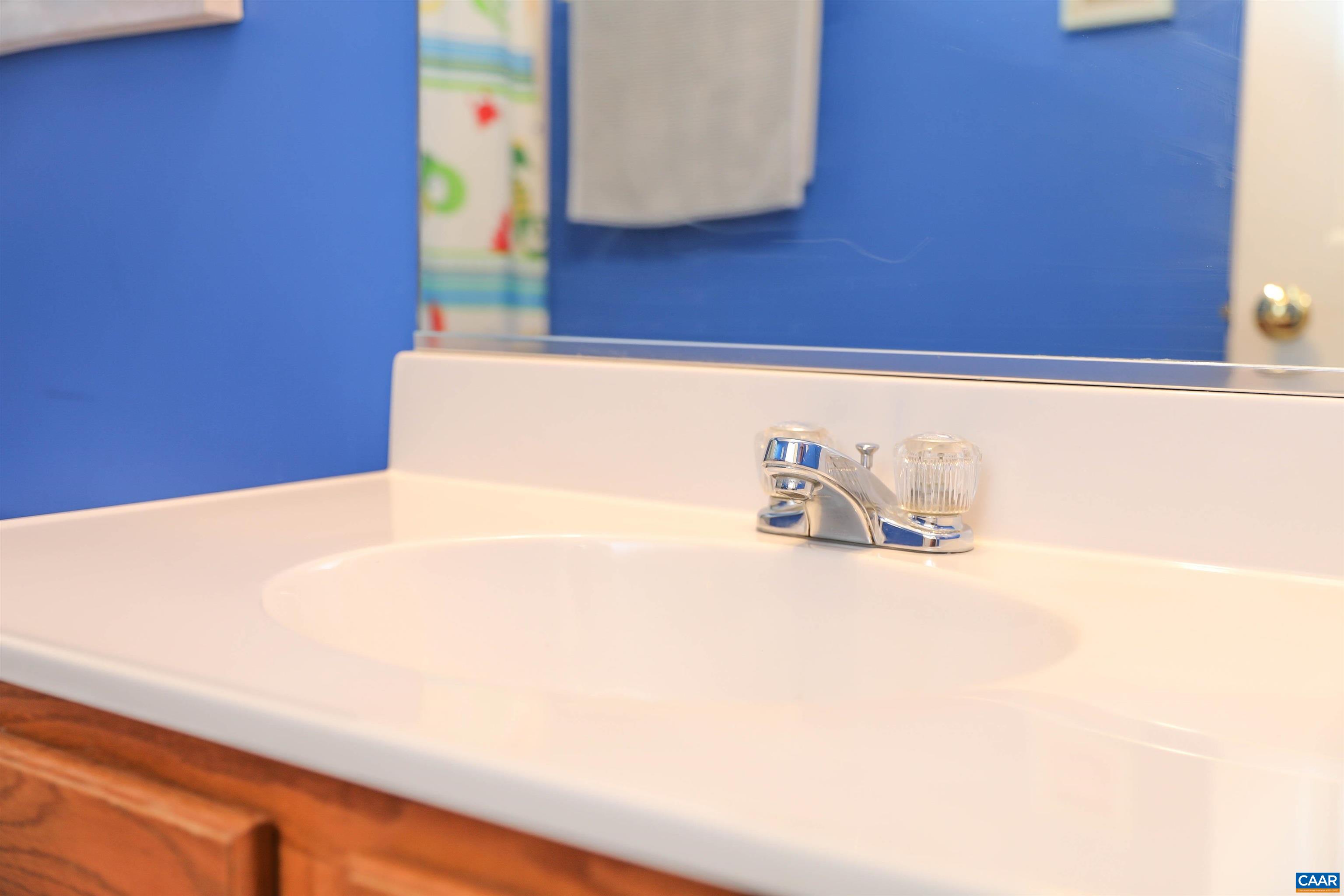286 Snapdragon Road Ruckersville, VA 22968 - Photo 38 of 44 a close up of a sink