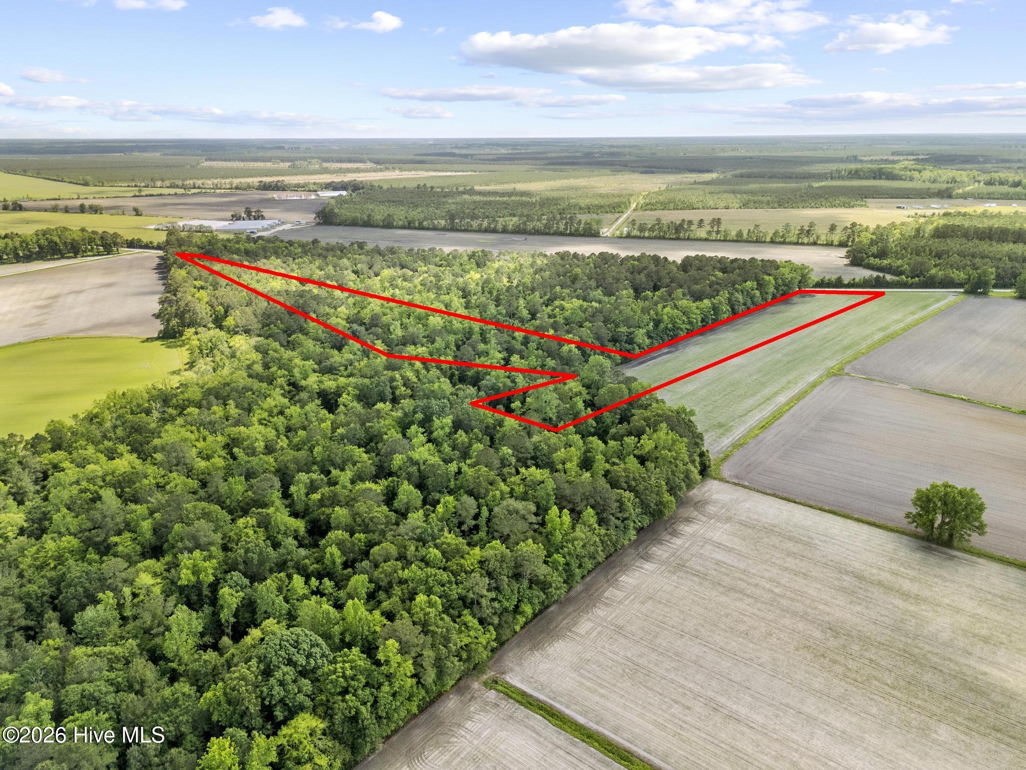 0 Deppe Road Maysville, NC 28555 - Photo 10 of 12 deppe 10