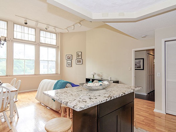 51 Pettee Street, Unit 28 Newton, MA 02464 - Photo 6 of 18