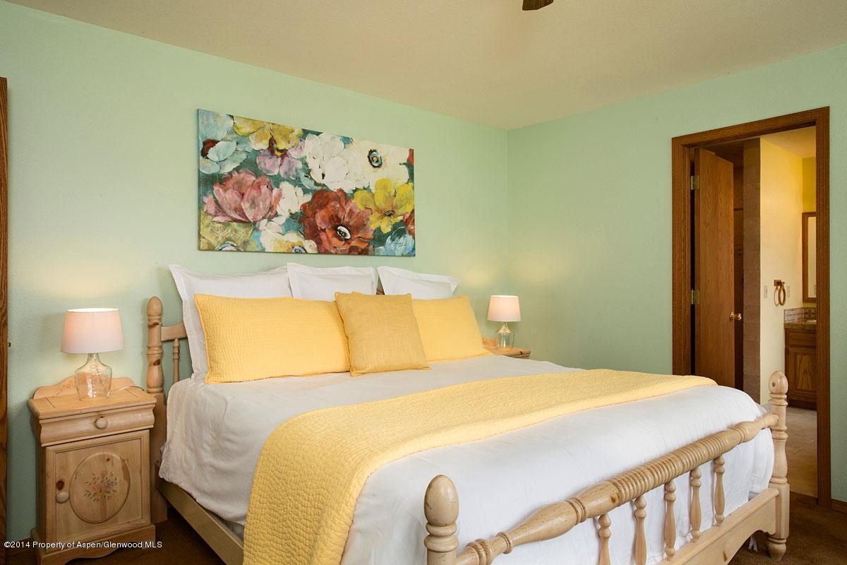 2457 Emma Road Basalt, CO 81621 - Photo 24 of 31 Master2