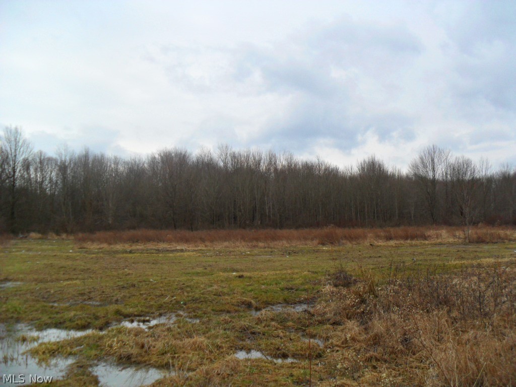 7522 Waterloo Road Atwater, OH 44201 - Photo 1 of 4 2.5 acres of land
