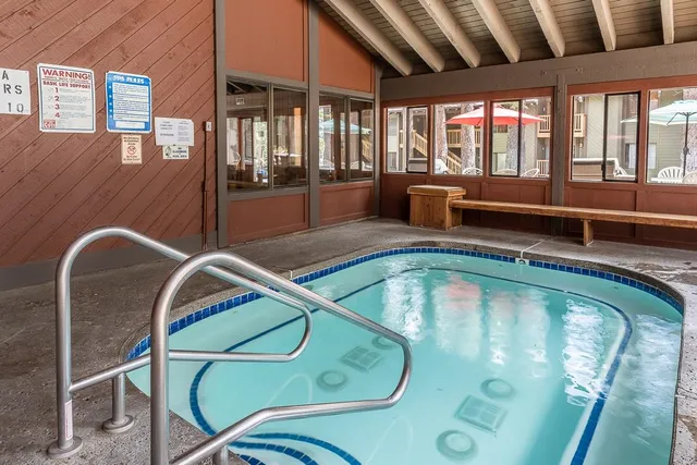 a view of a swimming pool with a potted plant