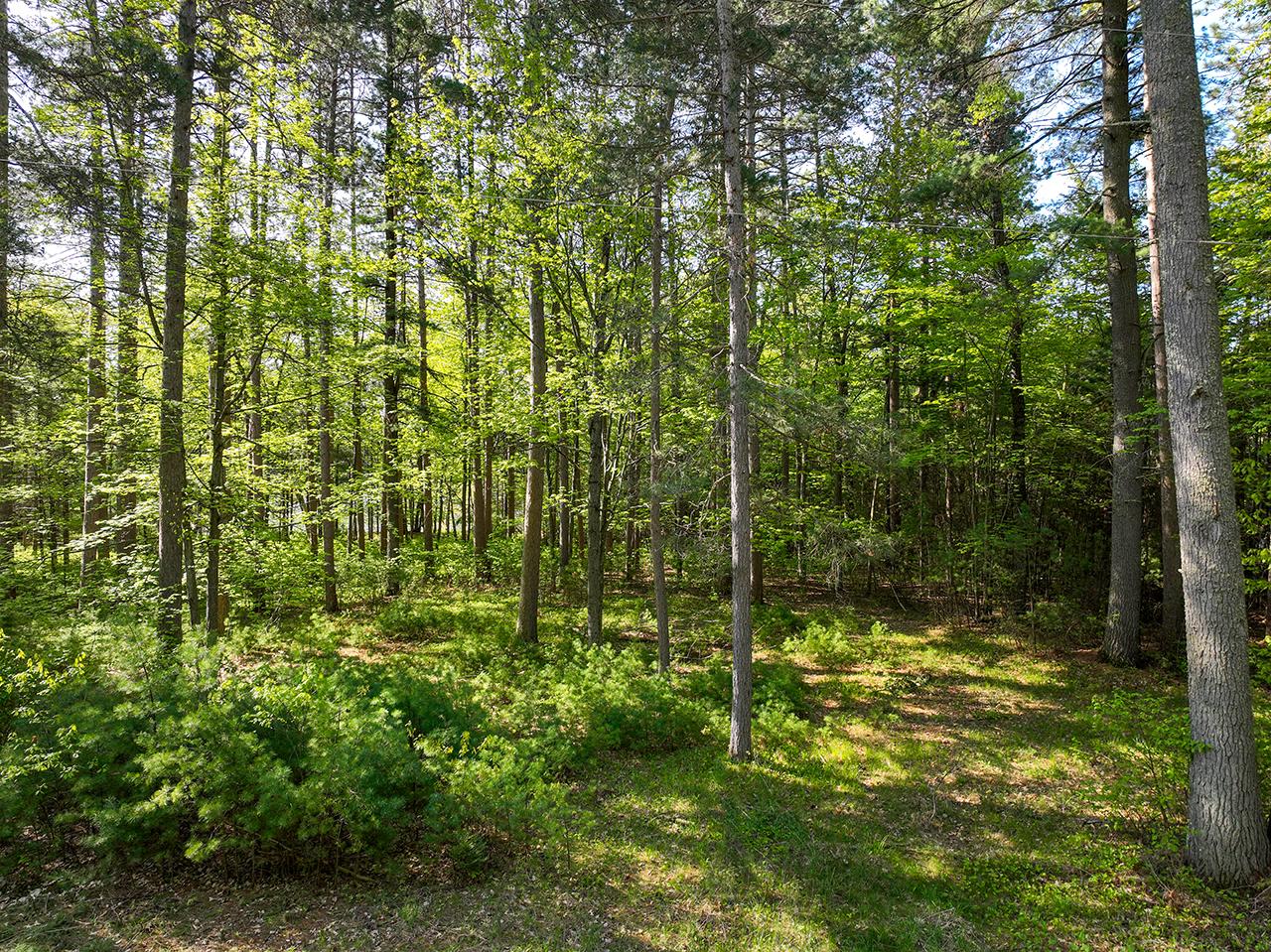 Lot 15 Selmer Road Tomahawk, WI 54487 - Photo 23 of 34 Gallery Image 23