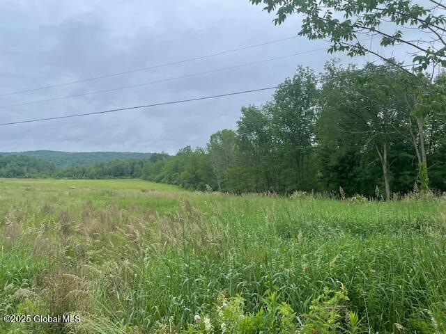 351 Hunt Road Pittstown, NY 12028 - Photo 1 of 18 IMG_2602