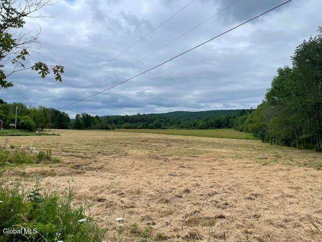 351 Hunt Road Pittstown, NY 12028 - Photo 18 of 18 IMG_3140