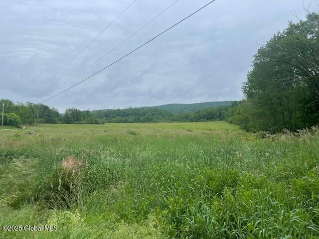 351 Hunt Road Pittstown, NY 12028 - Photo 3 of 18 IMG_2607