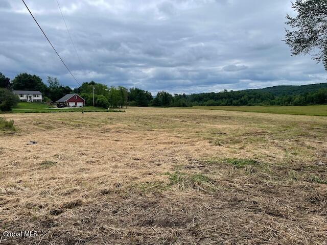 351 Hunt Road Pittstown, NY 12028 - Photo 5 of 18 IMG_3141