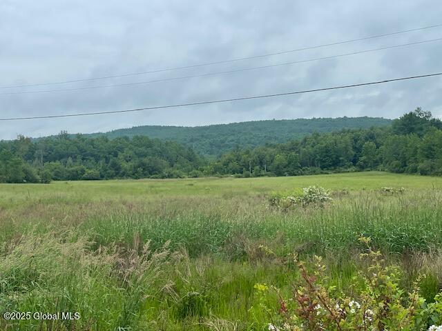 351 Hunt Road Pittstown, NY 12028 - Photo 6 of 18 IMG_2605