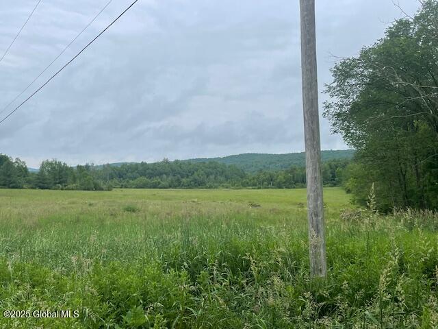 351 Hunt Road Pittstown, NY 12028 - Photo 7 of 18 IMG_2606