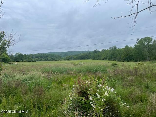 351 Hunt Road Pittstown, NY 12028 - Photo 10 of 18 IMG_2604