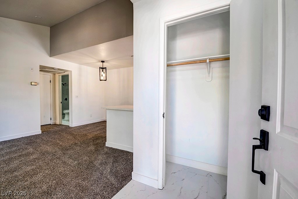5121 South Lindell Road, Unit 206 Las Vegas, NV 89118 - Photo 23 of 34 View of closet