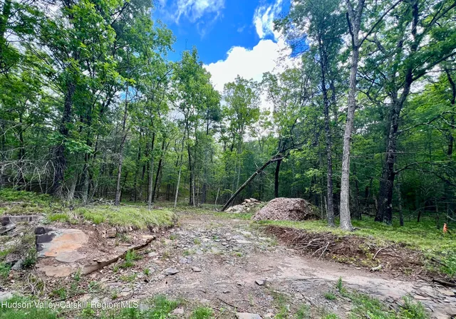 a view of a backyard with trees