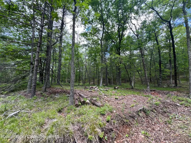 a view of outdoor space with trees
