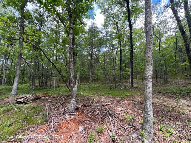 a view of outdoor space and green space
