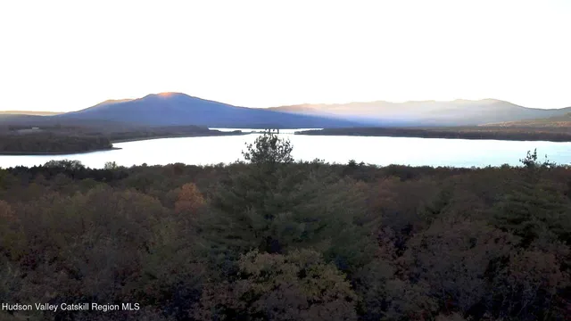 a view of a dry yard