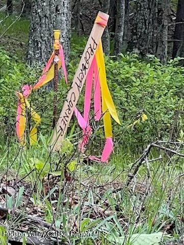 a view of outdoor space with garden