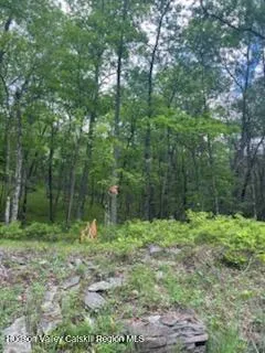 a view of outdoor space with green field and trees