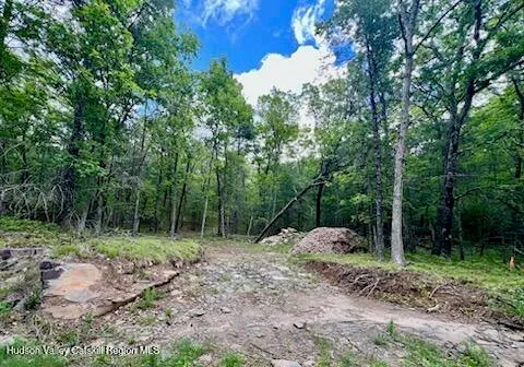 a view of backyard with trees