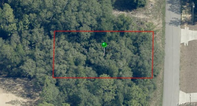 7064 North Ripley Drive Dunnellon, FL 34433 - Photo 1 of 5