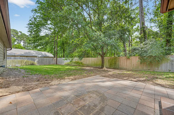 a view of a yard with plants and a large tree