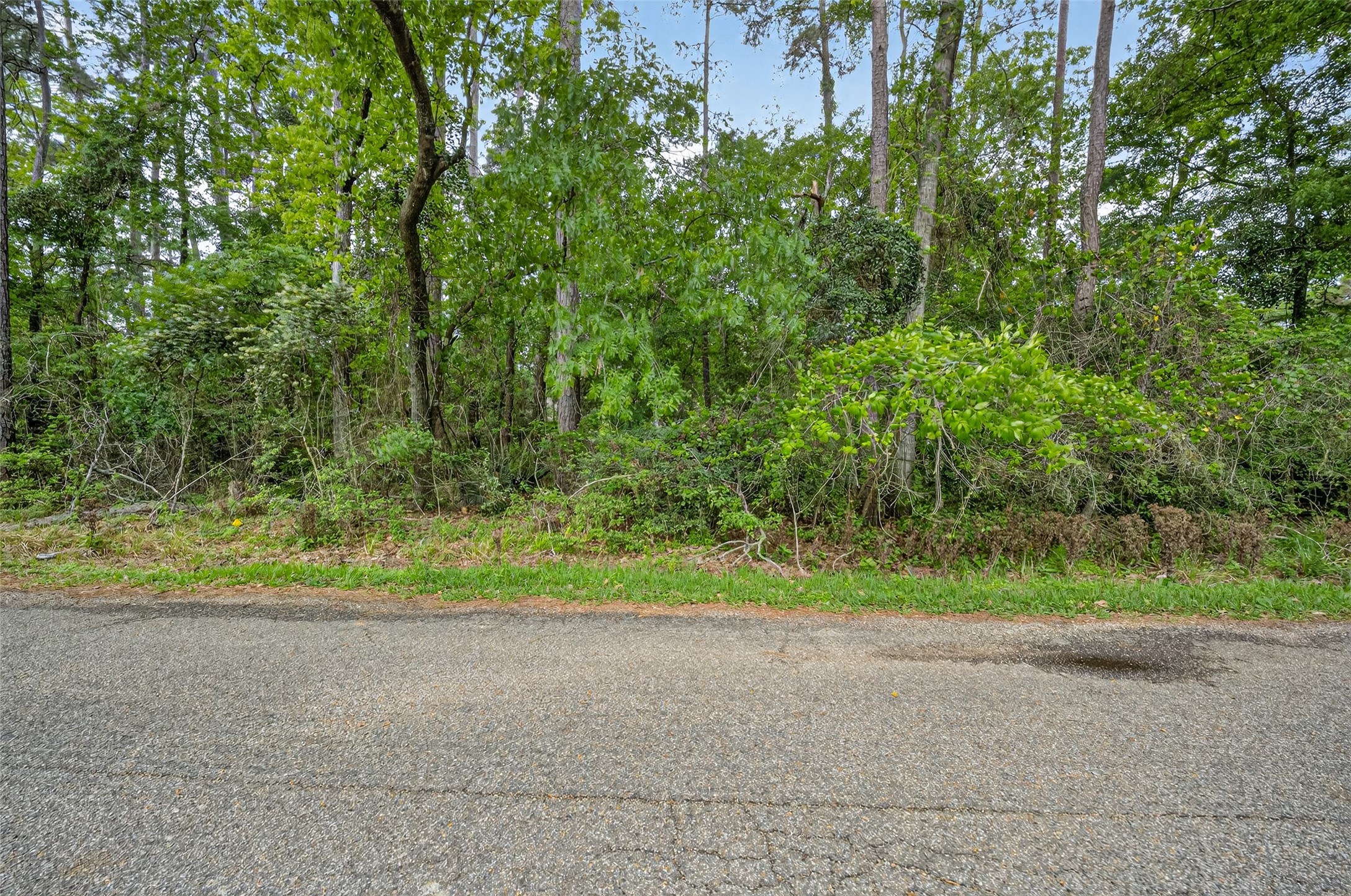 1007 West Cedar River Road Conroe, TX 77316 - Photo 47 of 48 This the lot that is directly behind the home. Lot 14