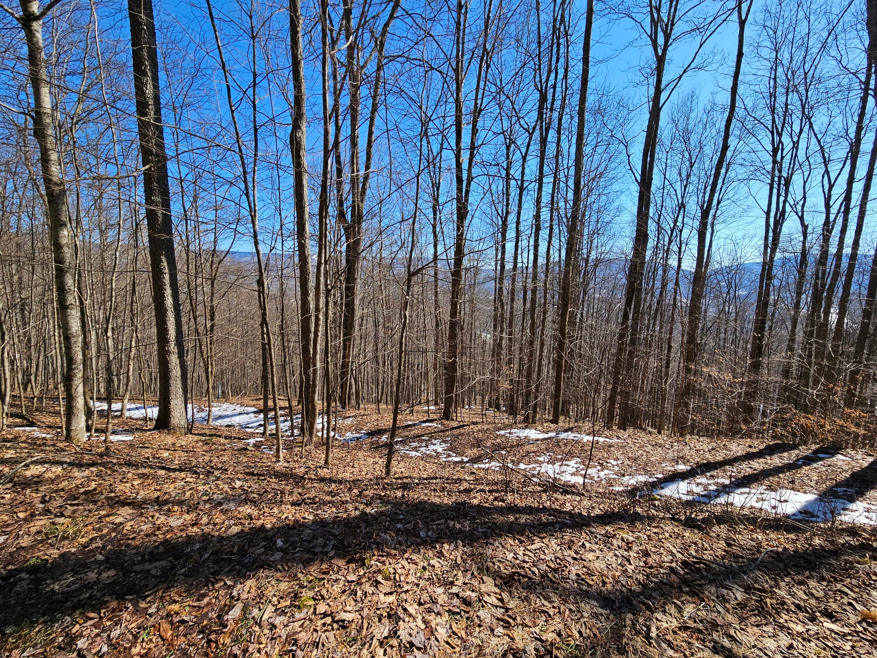 Lot 8 Upper Cherry Grove Road Slatyfork, WV 26291 - Photo 5 of 22 Gallery Image 5