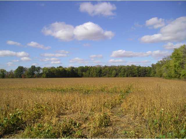 0 250 N Anderson, IN 46012 - Photo 1 of 2