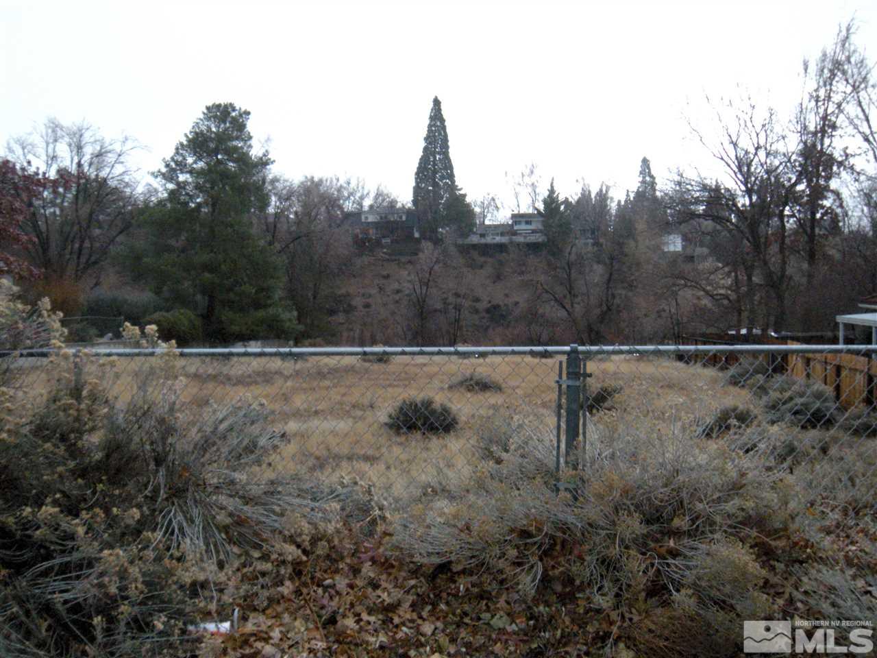 a view of a dry yard