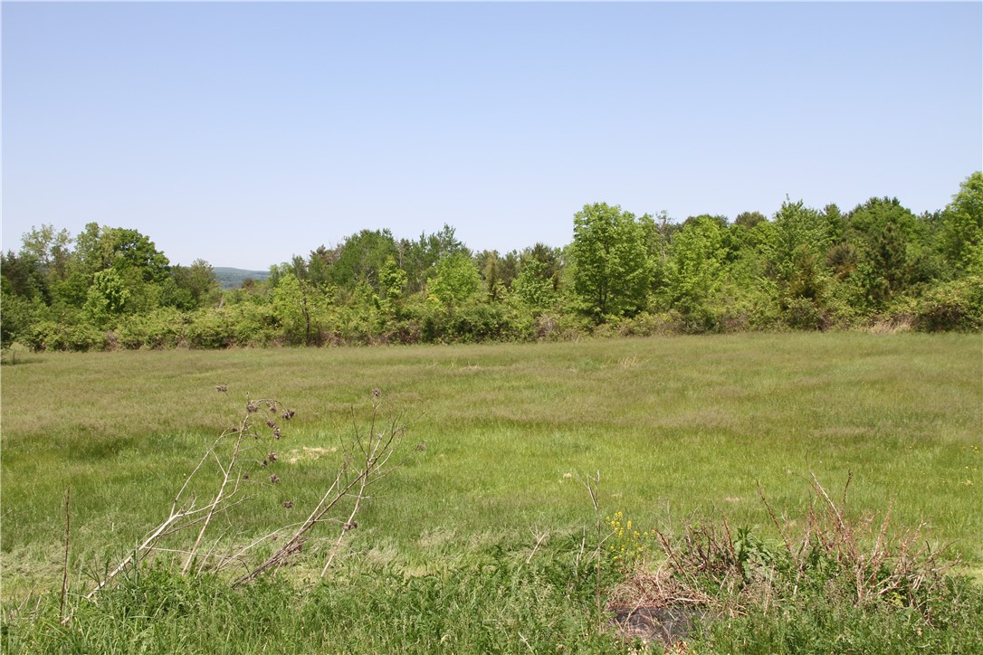 9450 Alderman Road Wayne, NY 14840 - Photo 41 of 43