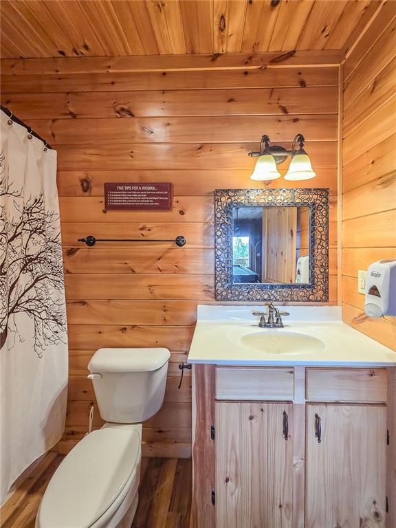 965 My Mountain Road Morganton, GA 30560 - Photo 42 of 64 Gallery Image 42