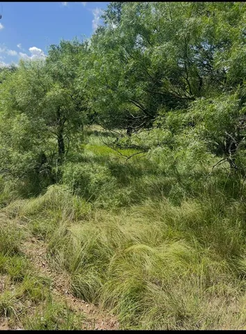 a view of a field of grass and trees