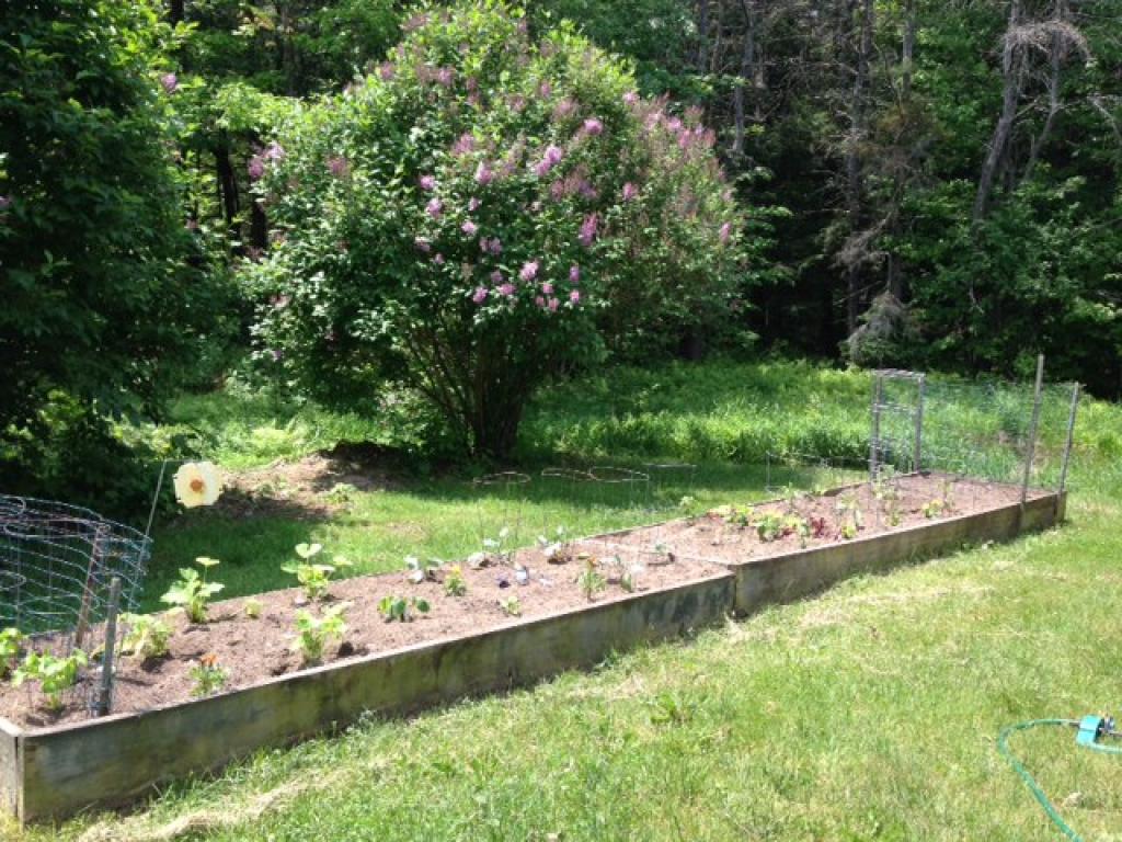 668 River Road Lyme, NH 03768 - Photo 12 of 30
