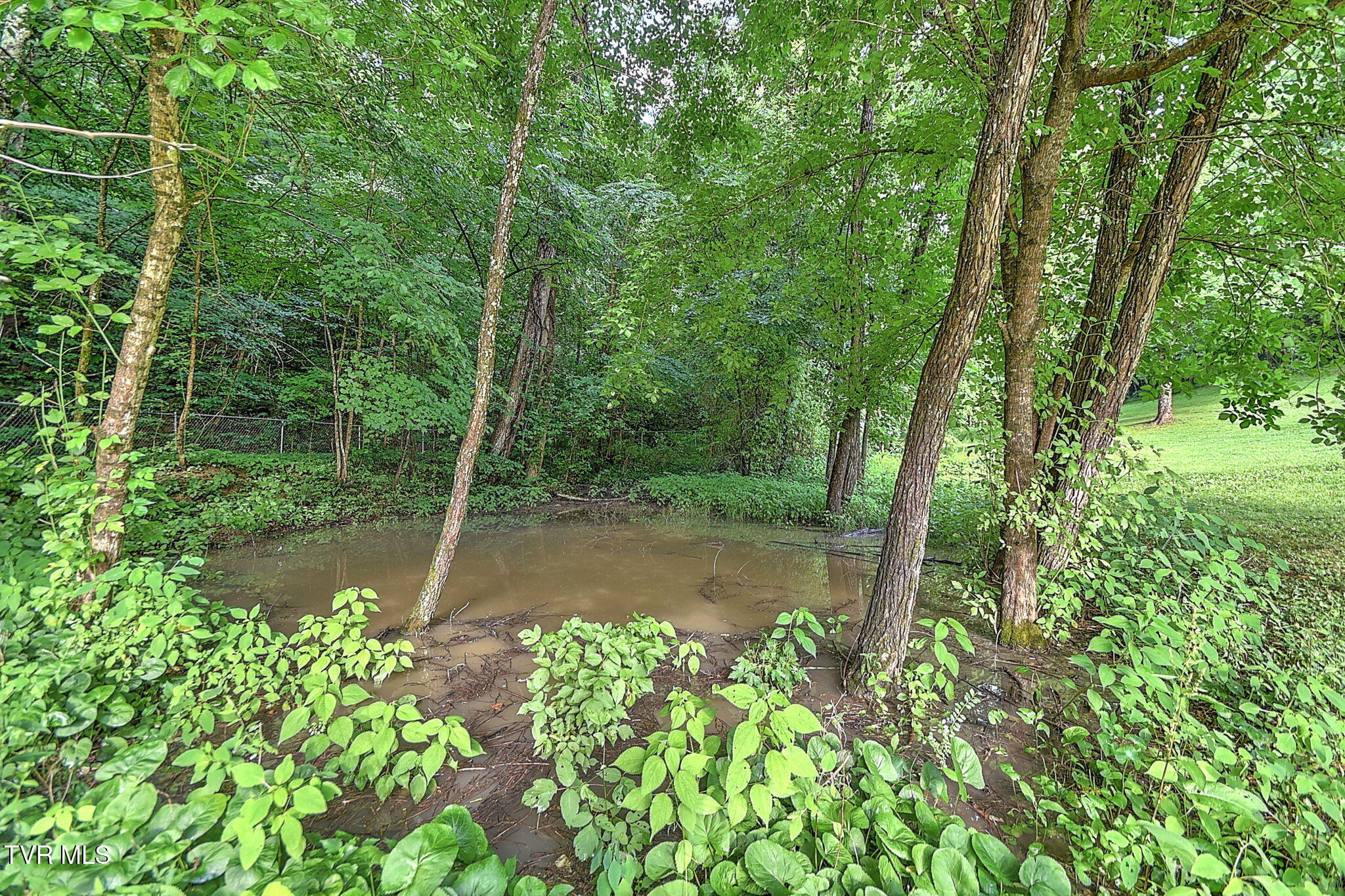 655 Wadlow Gap Road Kingsport, TN 37660 - Photo 64 of 66 33-web-or-mls-649 Wadalow Gap DP-34