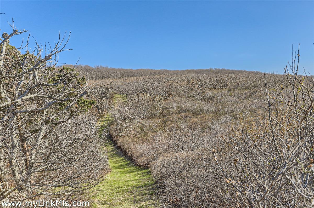 78 Hammett Road Chilmark, MA 02535 - Photo 47 of 53 Bluff Path to Great Rock Bight Cove