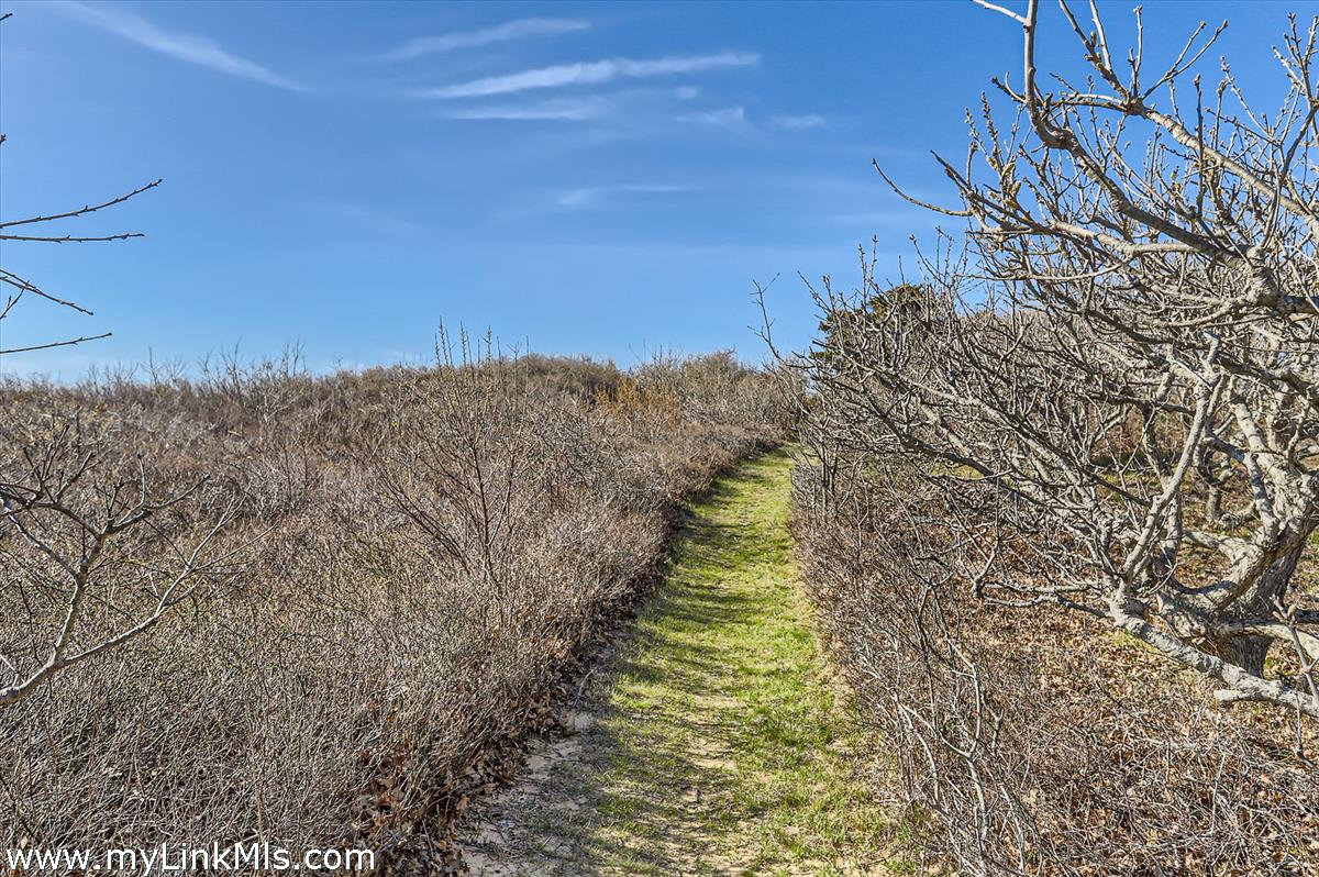 78 Hammett Road Chilmark, MA 02535 - Photo 48 of 53 Bluff Path to Spring Point Beach