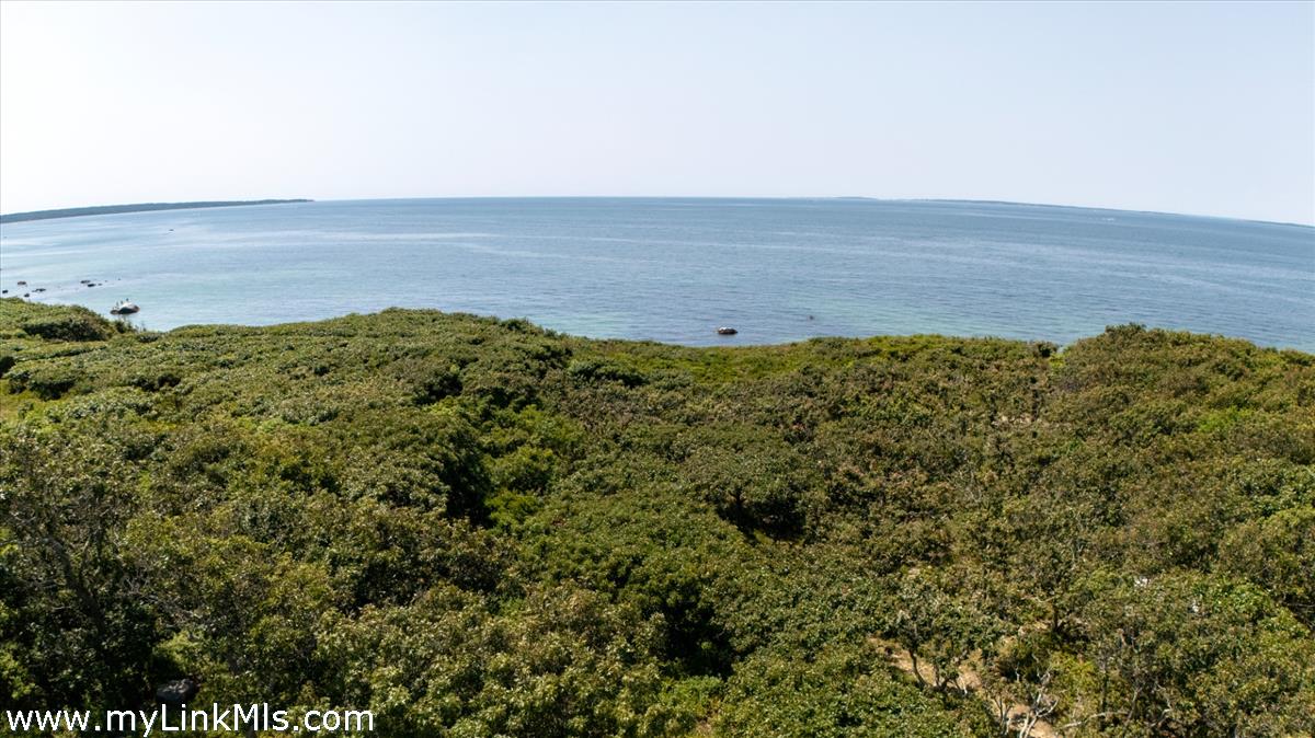 78 Hammett Road Chilmark, MA 02535 - Photo 8 of 53 Ground Floor View
