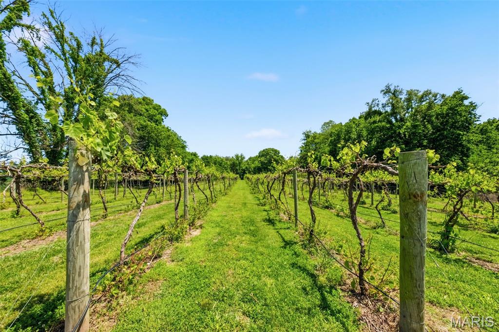 15088 Boone Monument Road Marthasville, MO 63357 - Photo 67 of 81