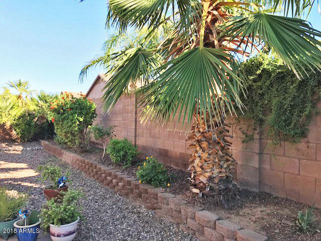 3903 East Simpson Road Gilbert, AZ 85297 - Photo 43 of 44 IMG_5973