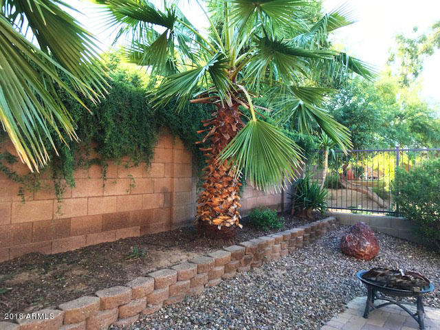 3903 East Simpson Road Gilbert, AZ 85297 - Photo 44 of 44 IMG_5974