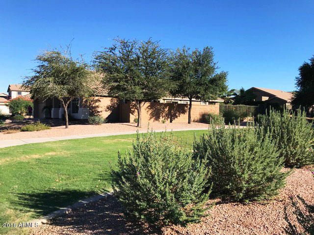 3903 East Simpson Road Gilbert, AZ 85297 - Photo 6 of 44 IMG_5979