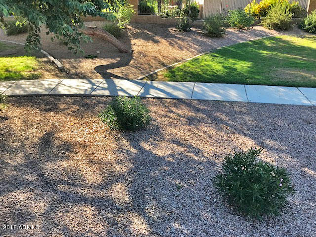 3903 East Simpson Road Gilbert, AZ 85297 - Photo 7 of 44 IMG_5965