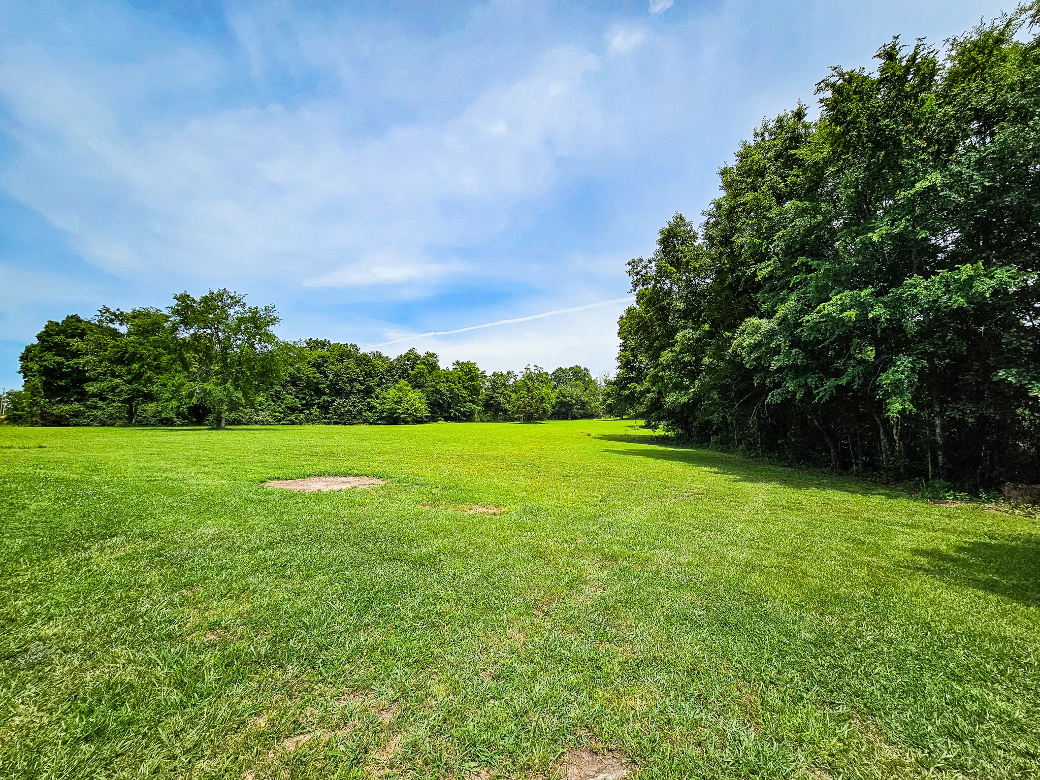 810 Rabbit Branch Road Shelbyville, TN 37160 - Photo 38 of 43 a view of field with tall trees