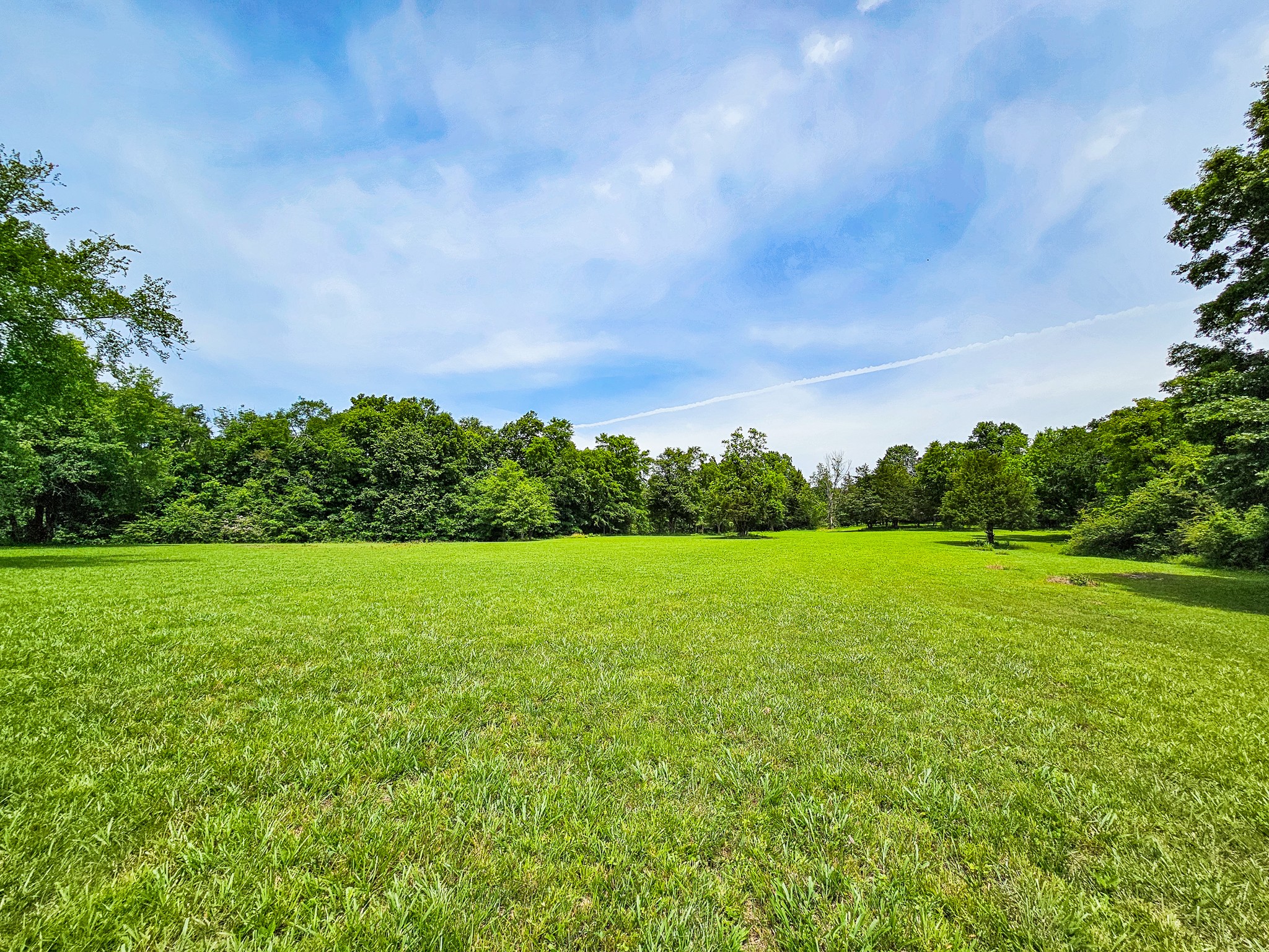 810 Rabbit Branch Road Shelbyville, TN 37160 - Photo 39 of 43 a view of a field of grass and trees